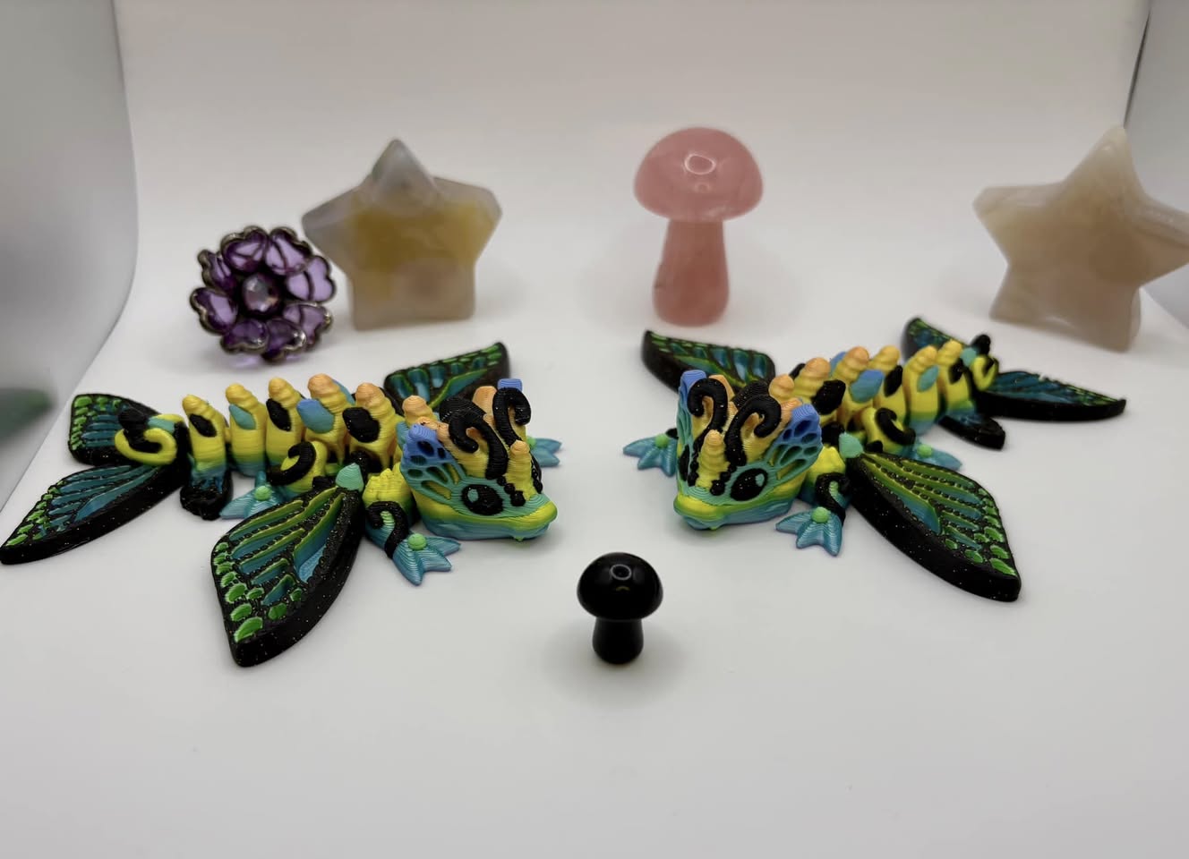 Butterfly Dragons!