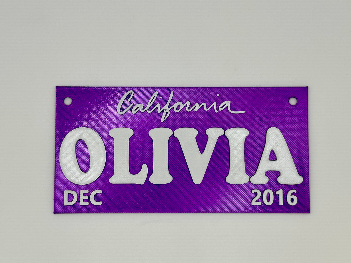 Customizable Bicycle License Plates